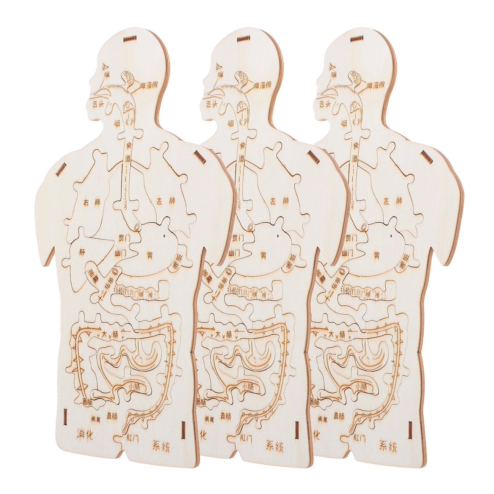3Pcs Wooden Human Body Puzzle  - Kids Education System 리뷰 및 가격