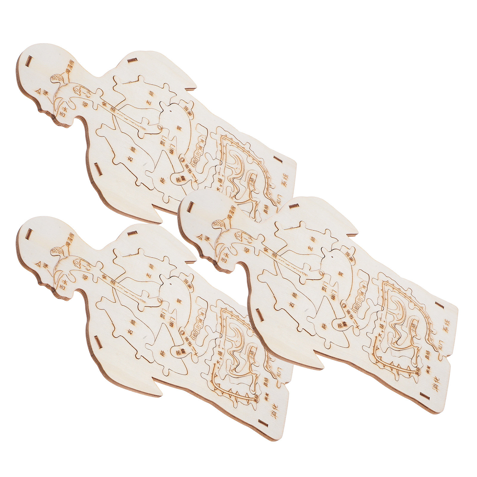 3Pcs Wooden Human Body Puzzle  - Kids Education System 리뷰 및 가격