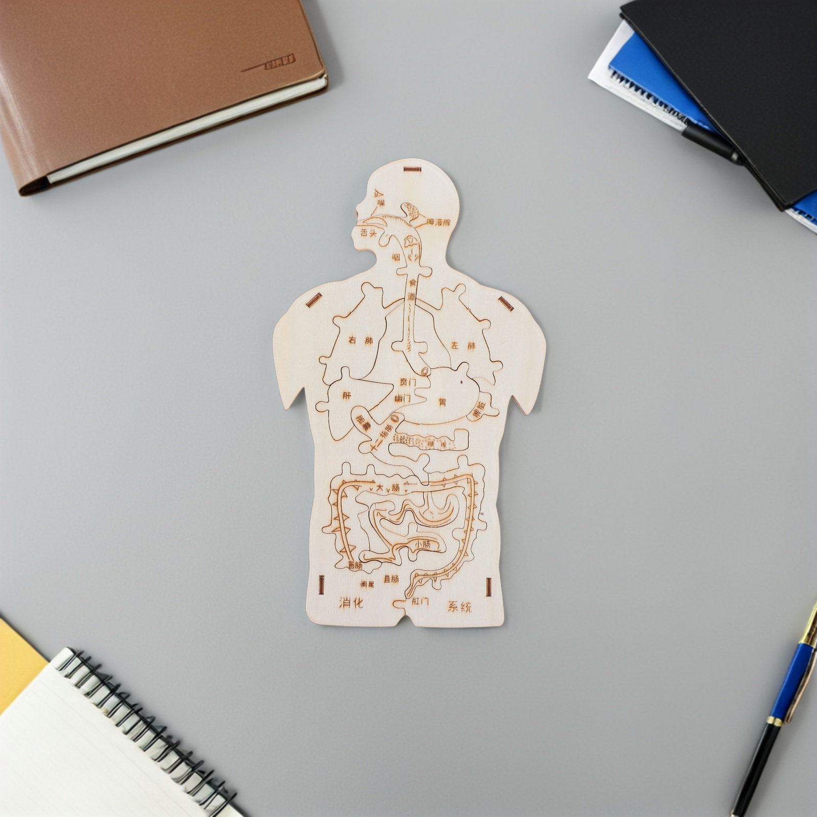 3Pcs Wooden Human Body Puzzle  - Kids Education System 리뷰 및 가격