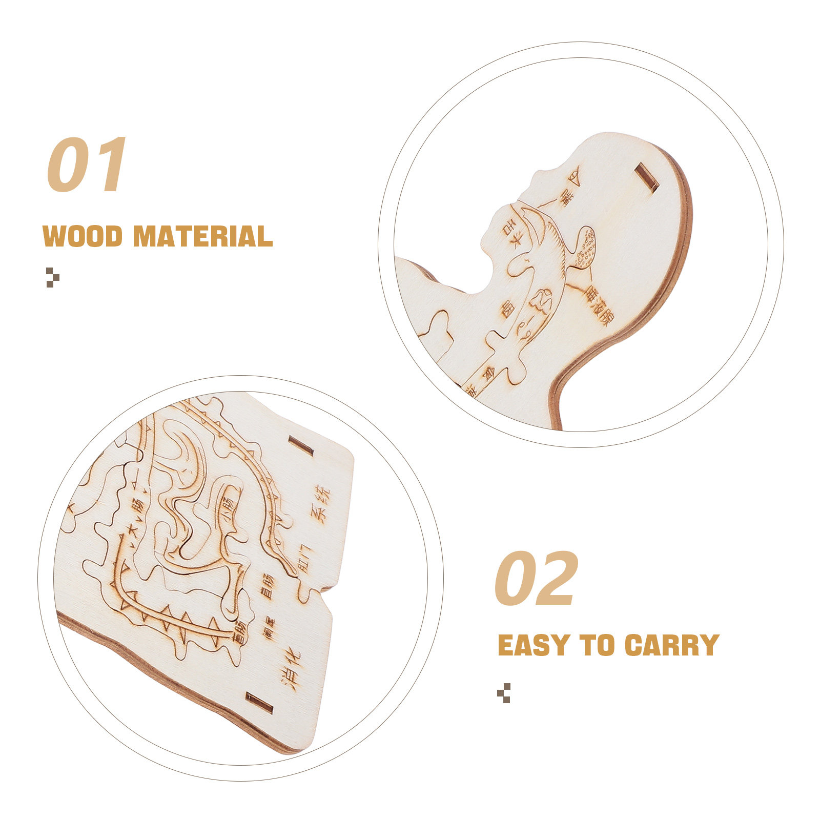 3Pcs Wooden Human Body Puzzle  - Kids Education System 리뷰 및 가격