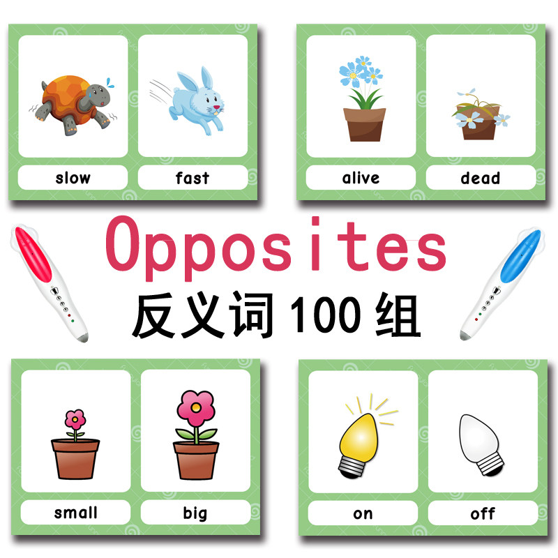 The 100 Groups Opposites Flash - Game Educational For Kids Free 리뷰 및 가격