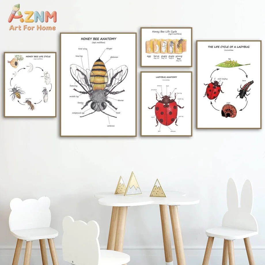 Cartoon Insect Bee Butterfly L - Kids Education Yes 리뷰 및 가격