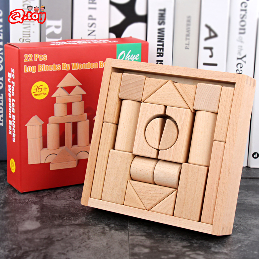 22pcs Building Blocks Beech Wo - Kids Education Login 리뷰 및 가격