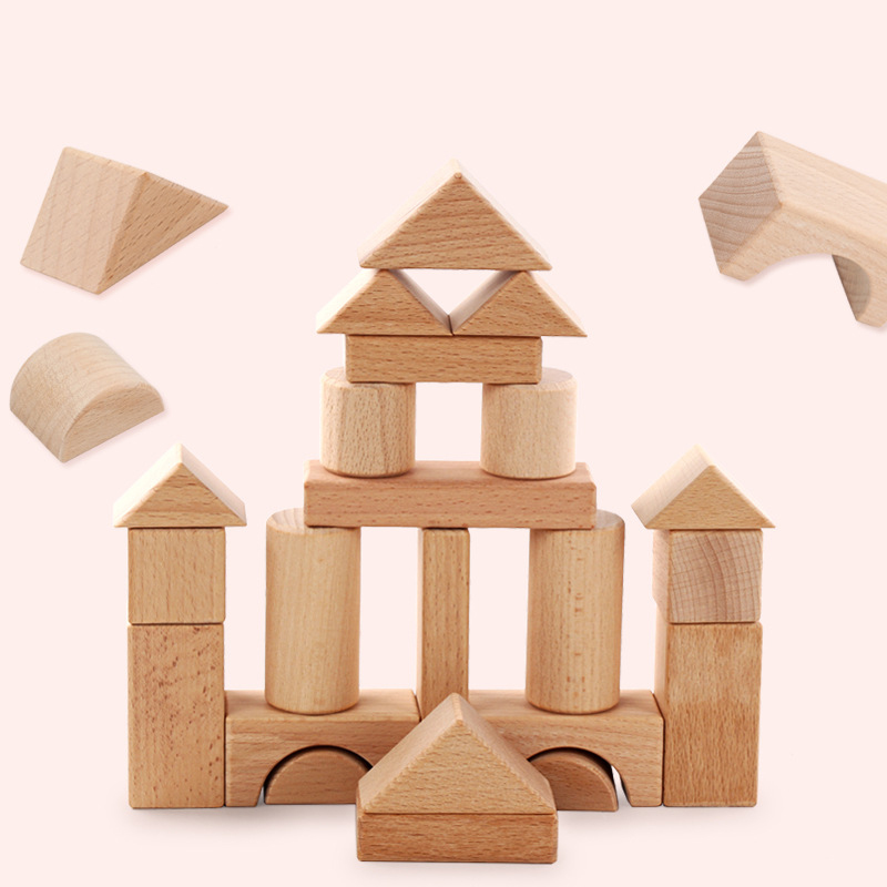22pcs Building Blocks Beech Wo - Kids Education Login 리뷰 및 가격