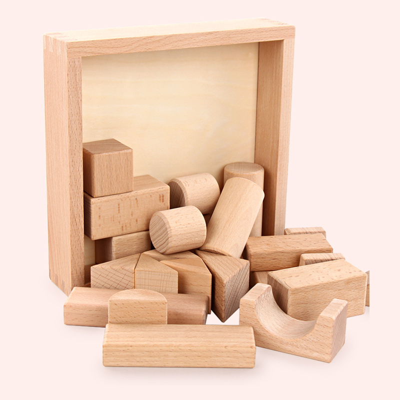 22pcs Building Blocks Beech Wo - Kids Education Login 리뷰 및 가격