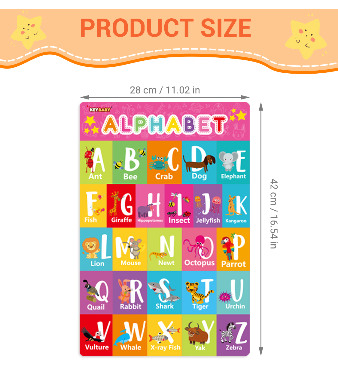 Level 2 English Learning Poste - Kids Education Level 리뷰 및 가격