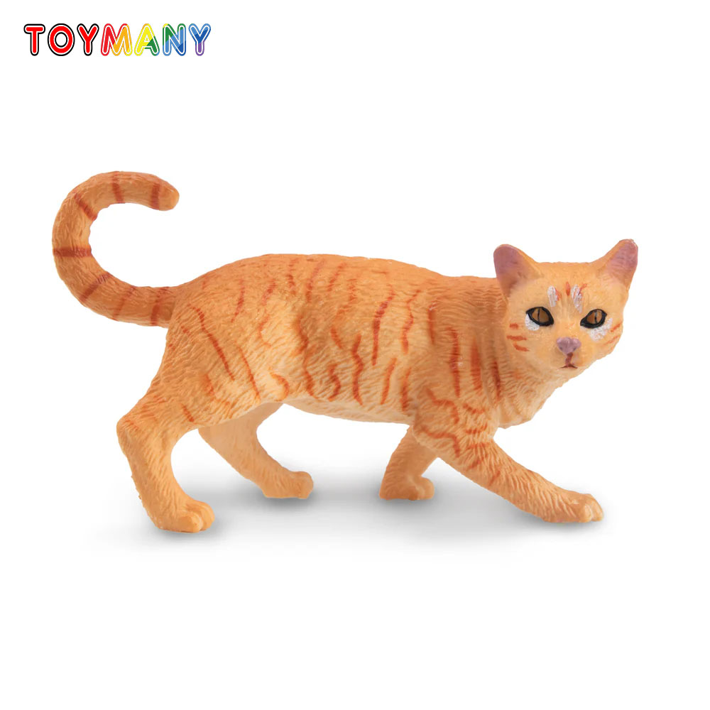 Toymany Simulation Striding Or - Kids Education Yes 리뷰 및 가격