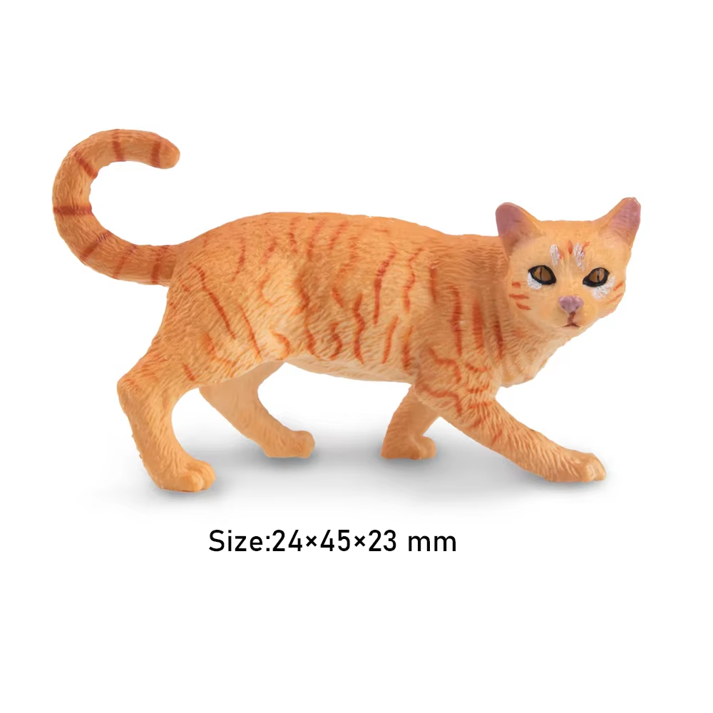 Toymany Simulation Striding Or - Kids Education Yes 리뷰 및 가격